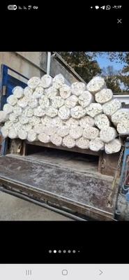 طرح زیبایی نلا قاب بندی کل تهران حمل رایگان در کرج