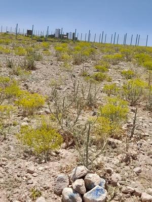 فروش زمین در کمرنق شادبادمشایخ بر جاده اصلی در تبریز