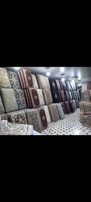 کارینا دودی در قم