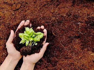 خاک باغچه مرغوب کشاورزی خاکستری در مشهد