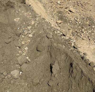 خاک مرغوب خاکستری برای باغچه در مشهد