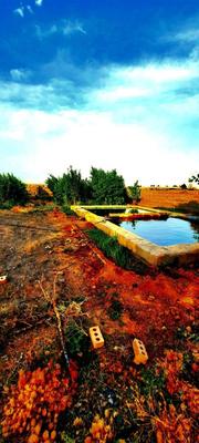 زمین۴۹۵متر سندار آب برق نگهبانی شاهنامه در مشهد