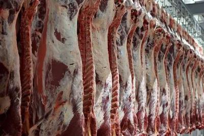 سرمایه گذار واردات گوشت سود تضمینی در تهران