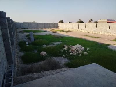 فروش زمین با دیوار کشی ودرب در بوشهر