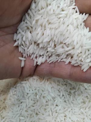 برنج اصیل ایرانی معطر در رشت