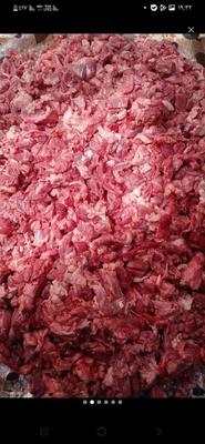 خورده گوشت تازه در تهران