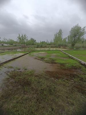 ۲۲۰ متر پشت پارک ساحلی و مسکونی در رانکوه