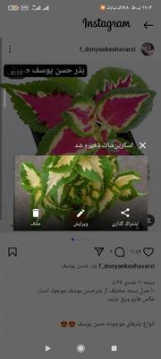 حسن یوسف در اورمیه