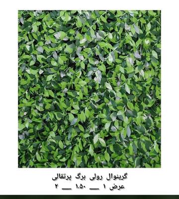 فنس برگ پرتقالی فنس برگ ریحون سنگ  ریسه آکاردئون در تهران