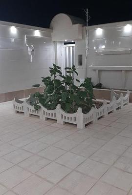 جدولهای باغچه فانتزی در رشت