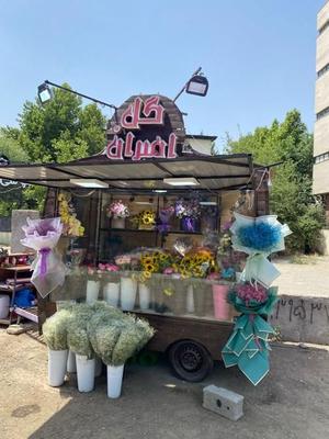 جشنواره رزطبیعی فقط شاخه ای ۳۵هزارانواع گلهاطبیعی در کرج