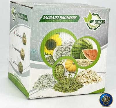 مغز تخمه چینی اعلا در تهران
