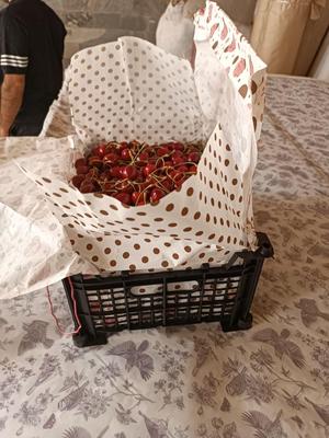 کاغذ سابلی طرح مخصوص سبدمیوه جایگزین روزنامه باطله در تهران
