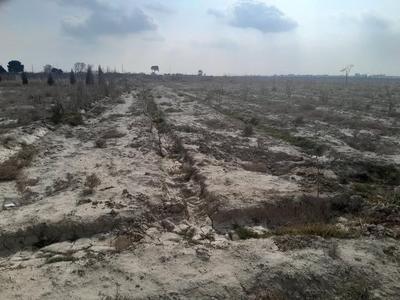 فروش ۴۸۰۰ متر زمین در ترشنبه در کرج