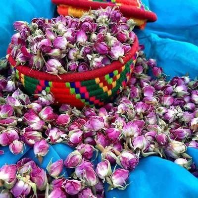 تور یک روزه در یزد