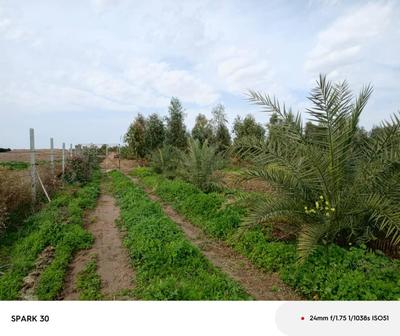 خرید وفروش زمین کشاورزی ،تجاری در قم