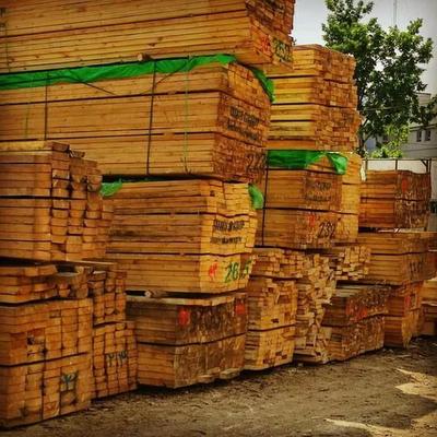 فروش چوب نراد روسی سربندی فروش حلب در گیلان رشت در رشت