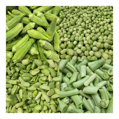 مطبخ غذاهای خانگی و سنتی در قم