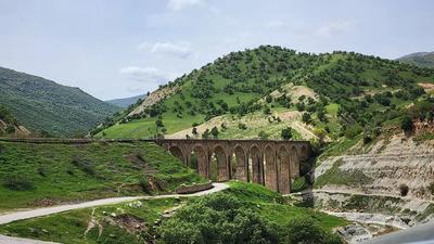 پروژه عکاسی در بوشهر