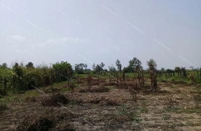 زمین باغ پانصد متری به بالا دارای مجوز رسمی در اهواز