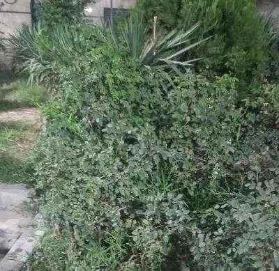 فروش زمین ۴۰۰ متری در دماوند شهر زیبای کیلان
 تلفن تماس ۰۹۱۲۰۱۲۹۴۷۱ در تهران