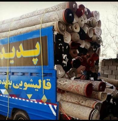 قالیشویی وپتوشویی تمام اتوماتیک پدیده بروجرد در خرم‌آباد