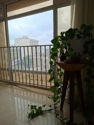 لوکیشنی که برای هر شغلی طلاست در مشهد
