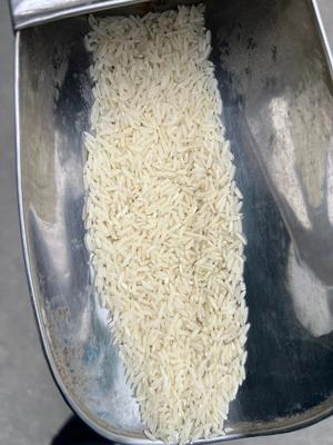 طارم هاشمی فوق عطری  ویژه رستوران، هیئت و عمده و مصرف خانگی🌾 در ساری