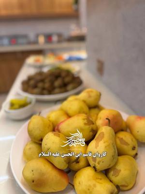 کربلا ۲ شهریور زمینی با قطار و دوطرف هوایی در مشهد