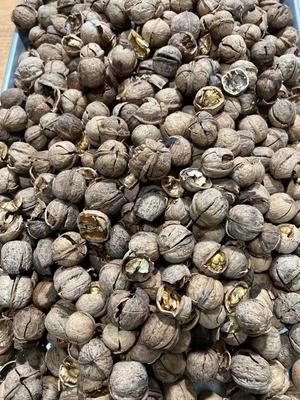 گردو و مغز گردوی محلی کردستان در سنندج