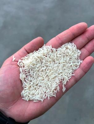 برنج شیرودی درحدبوجار قیمت مناسب ویژه هیئت و رستوران،تالار ومصرف خانگی در رشت