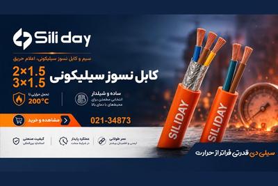سیلی دی تولید کننده سیم و کابل نسوز سیلیکونی، اعلام حریق و ساختمانی در تهران