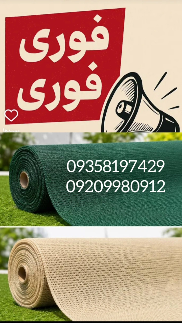 توری پیازوکیسه